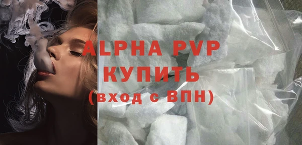 дживик Инта