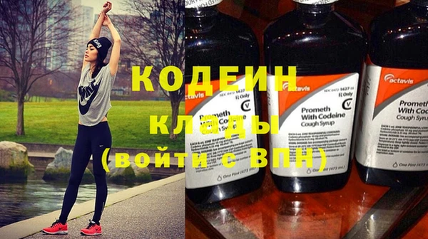 дживик Инта