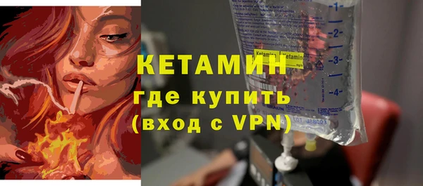 дживик Инта