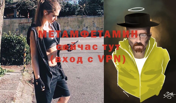дживик Инта