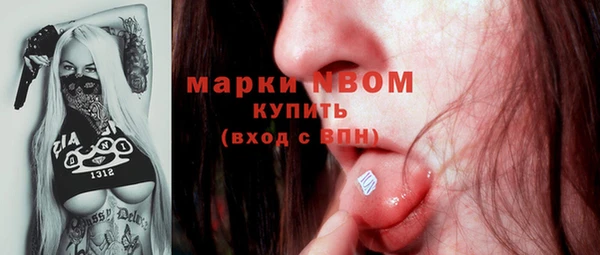 дживик Инта