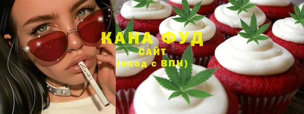 дживик Инта