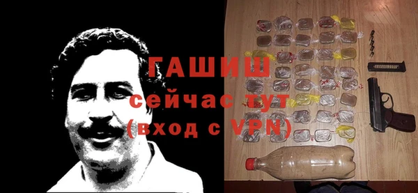 дживик Инта
