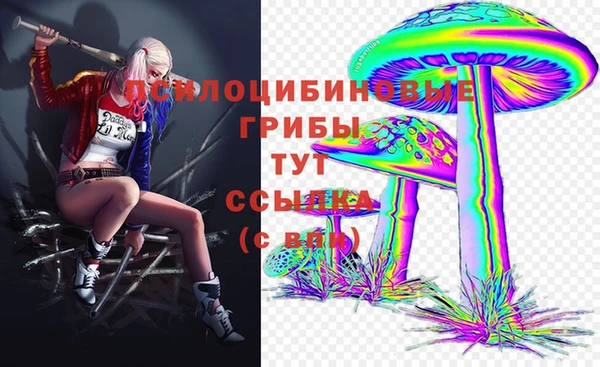 первитин Инсар