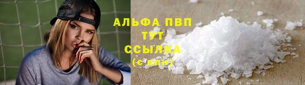 дживик Инта