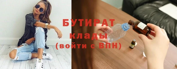 дживик Инта