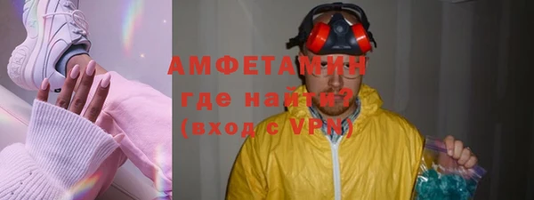 дживик Инта