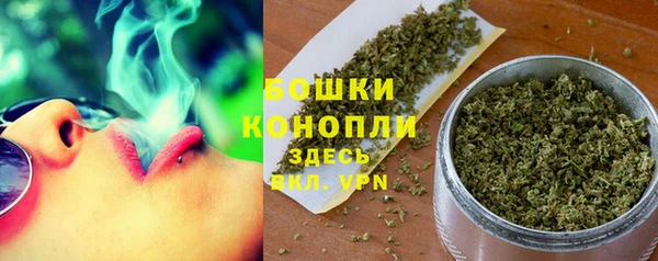 первитин Инсар