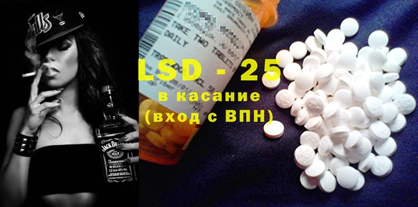 дживик Инта