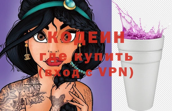 дживик Инта
