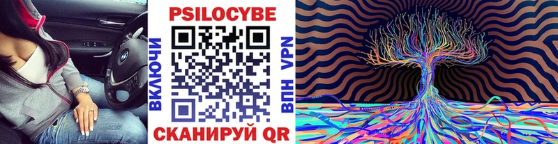 Купить закладки  Зуевка  Псилоцибиновые грибы MAGIC MUSHROOMS 