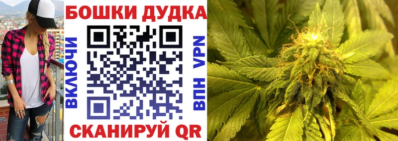 Бошки Шишки AK-47 Купить закладки Зуевка